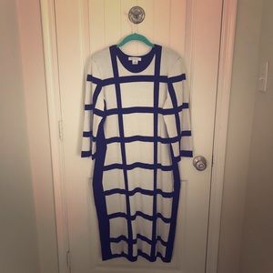 Black & White Form Fitting Sweater Dress